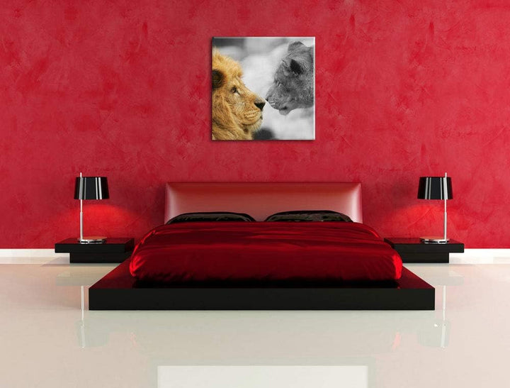Pixxprint schönes verliebtes Löwenpaar schwarz/weiss, Format: 70x70 auf Leinwand, 70x70