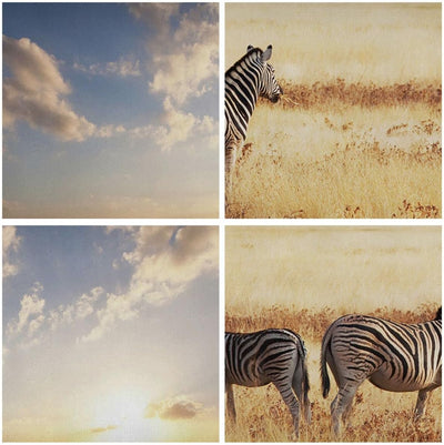 Panorama Bilder auf Leinwand 100x40cm Leinwandbild Zebra tier gestreift savanne Gross Wanddeko Bild