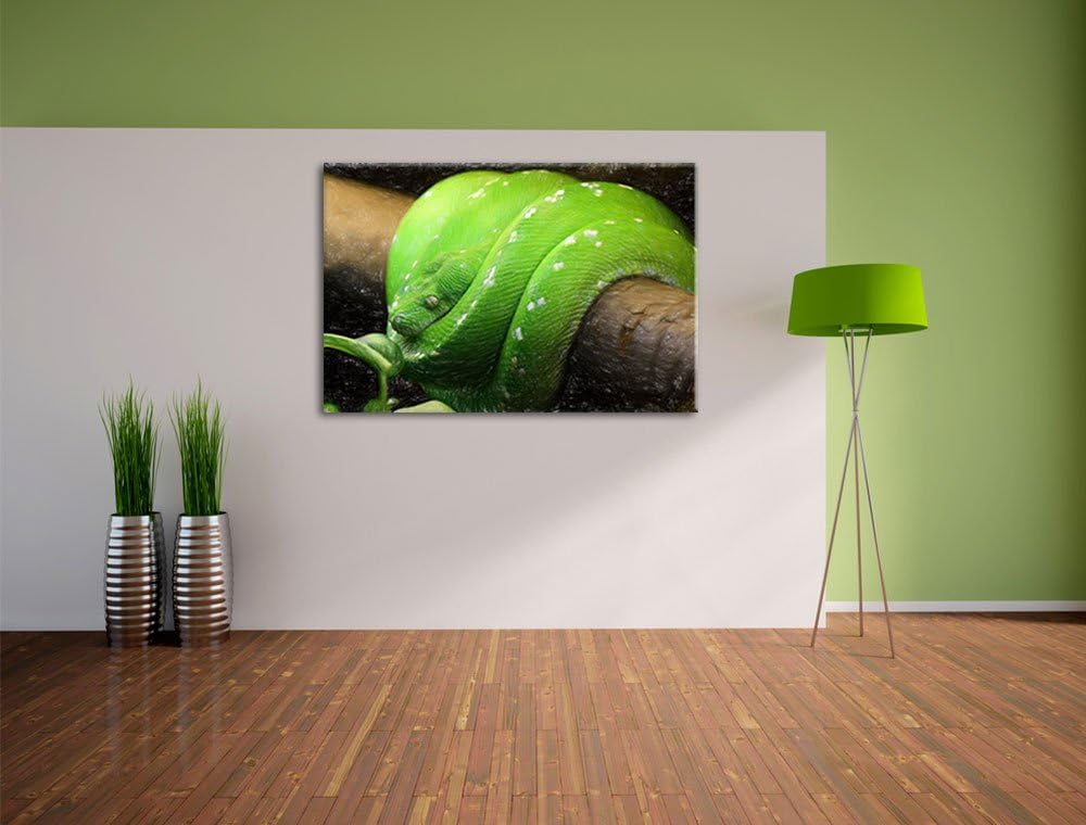 Pixxprint Grüne exotische Schlange als Leinwandbild/Grösse: 100x70 / Wandbild/Kunstdruck/fertig besp