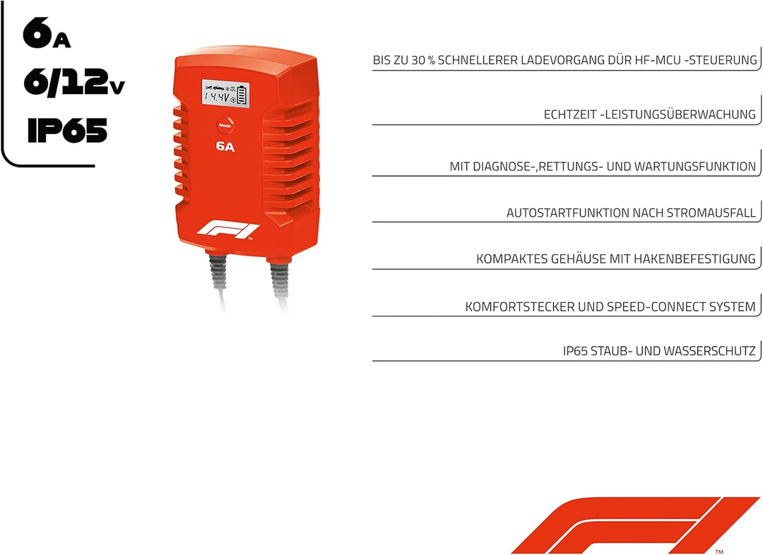 Formula 10794 1 Mikroprozessor Batterie Ladegerät 6 Ampere für 44359 V, 7-stufig,,Power-Supply, Auto