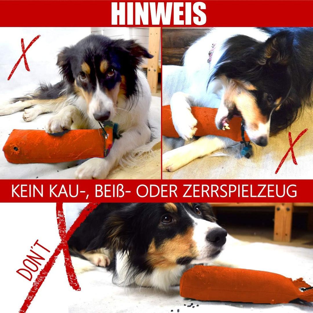 Romneys Hundetraining Dummy 500g - Robust & Schwimmfähig, Apportierprüfungen Zugelassen - Ideal für