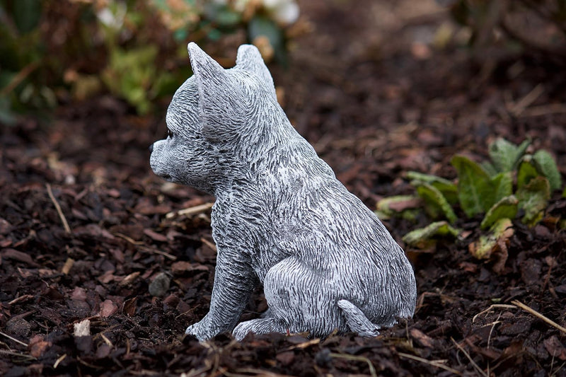 stoneandstyle Steinfigur Chihuahua Hund, Frost- und Wetterfest, handgearbeitet