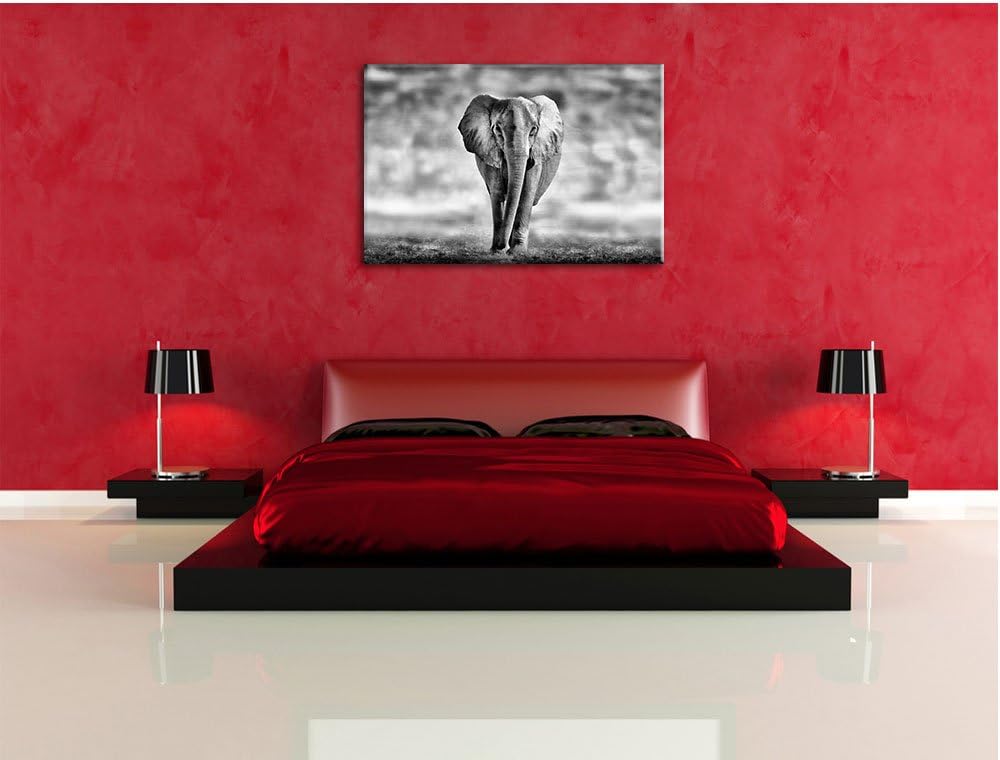 Pixxprint Einsamer Elefant Schwarz-Weiss als Leinwandbild/Grösse: 100x70 cm/Wandbild/Kunstdruck/fert