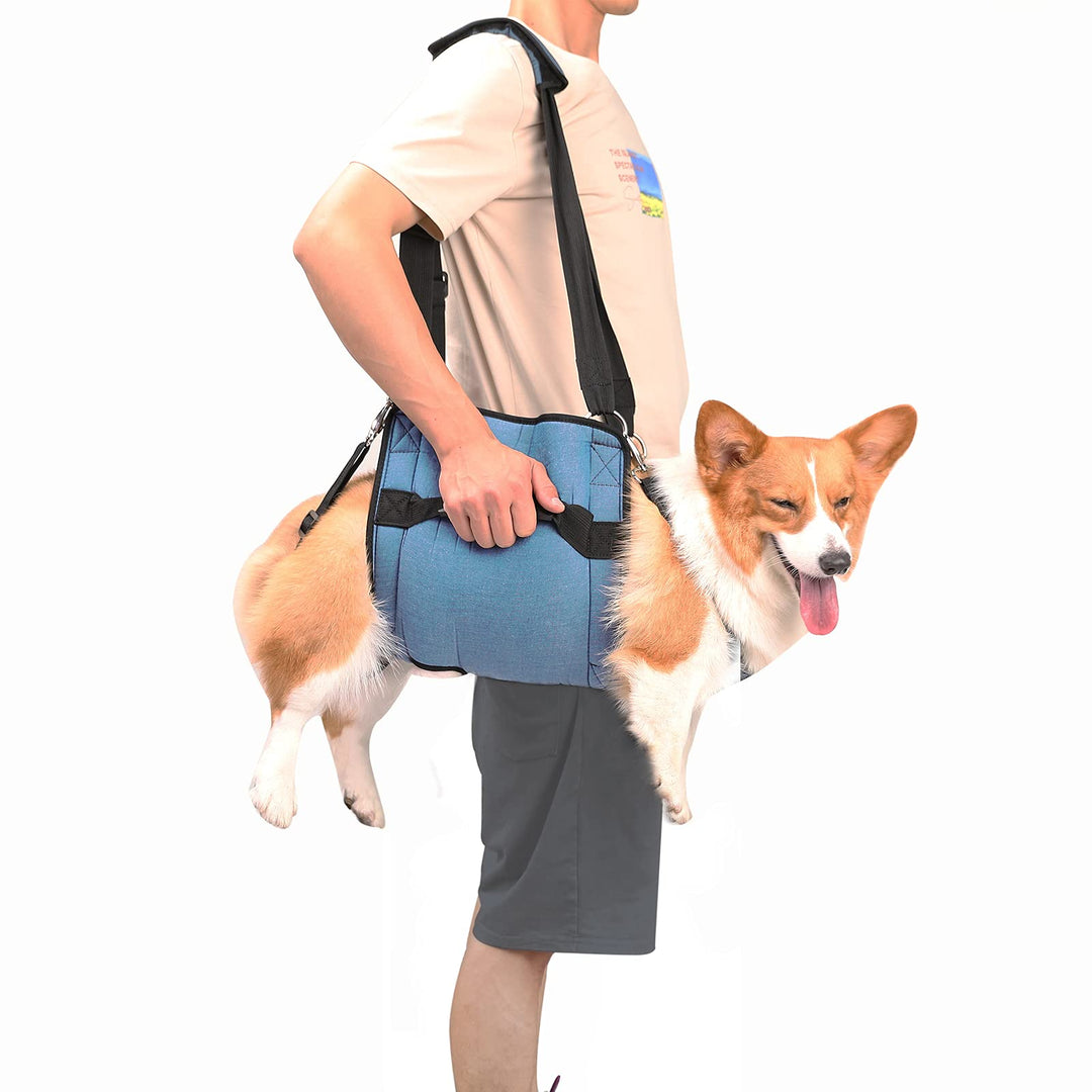Coodeo Hundetragegurt, Notfallrucksack Haustierbeine Unterstützung & Rehabilitation Hundeliftgeschir