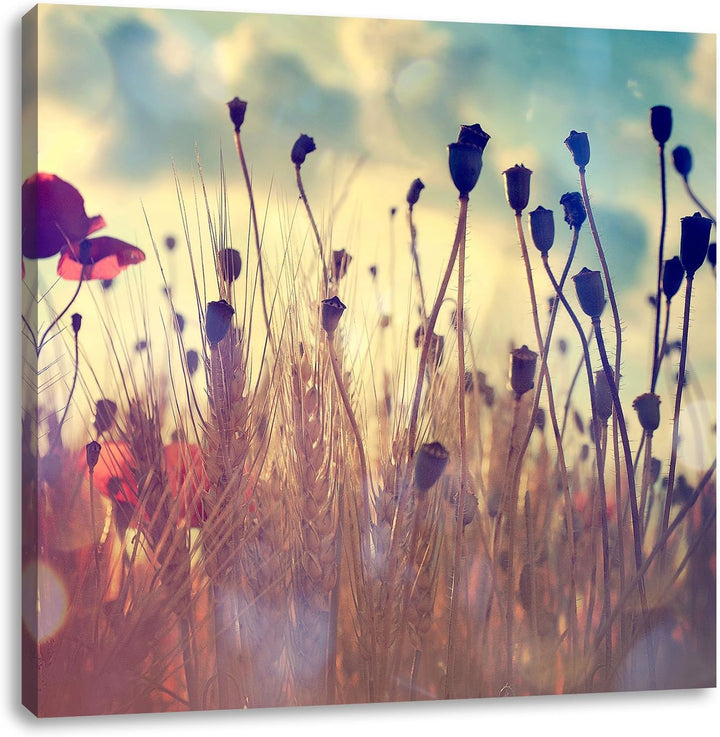 Mohn im Weizenfeld, Format: 70x70 auf Leinwand, XXL riesige Bilder fertig gerahmt mit Keilrahmen, Ku