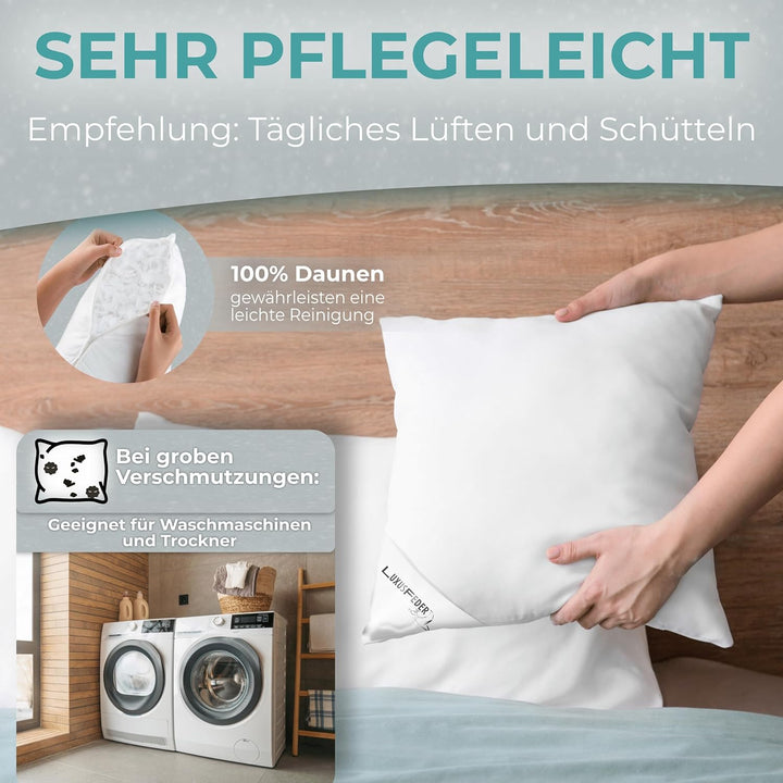 Luxusfeder Daunenkissen 40x40cm - Bezug 100% Baumwolle - Kopfkissen mit Daunenfüllung 200g - Daunen