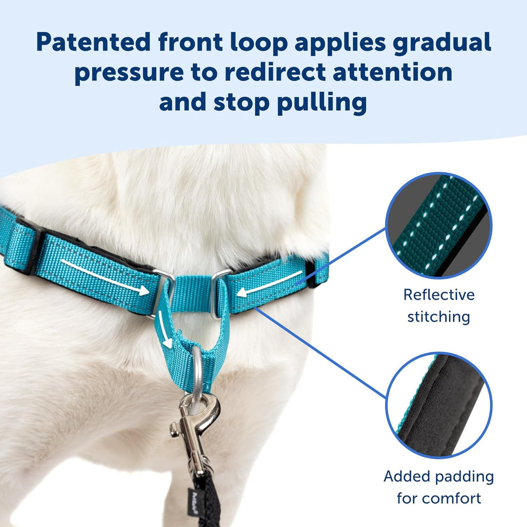 PetSafe Deluxe Easy Walk Hundegeschirr ocean Medium/Large, ocean Medium/Large