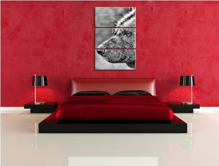 Pixxprint Hyäne im Seitenprofil als Leinwandbild/Grösse: 3 Teilig (120x80) cm/Wandbild/Kunstdruck/fe