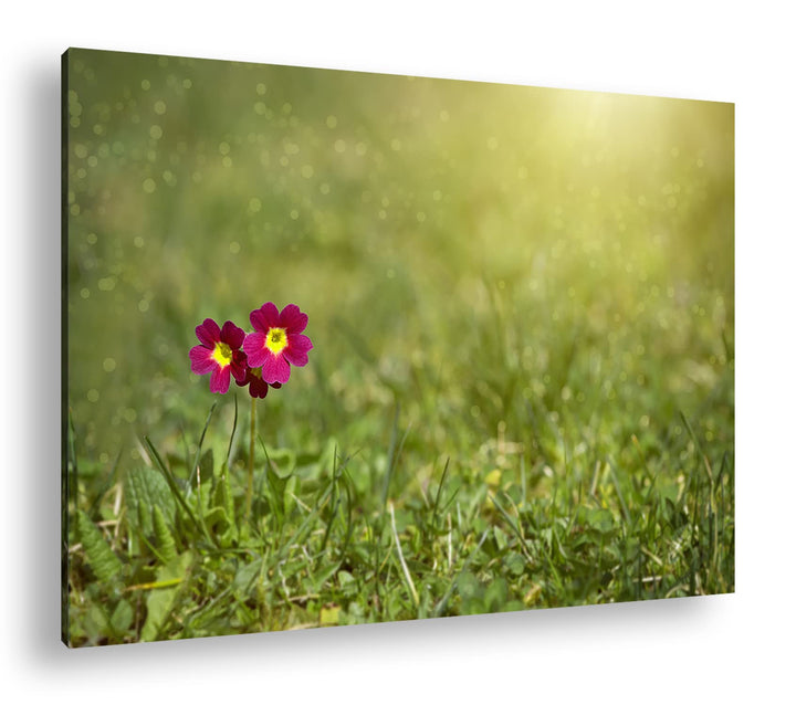 deyoli zierliche Blumen Format: 120x80 cm als Leinwandbild, Motiv fertig gerahmt auf Echtholzrahmen,