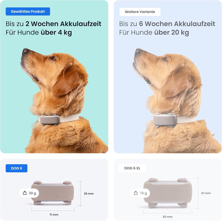 Tractive GPS Tracker Hund | 2025 Edition | Live-Ortung | Weglaufalarm | Aktivitätstracking | Gesundh