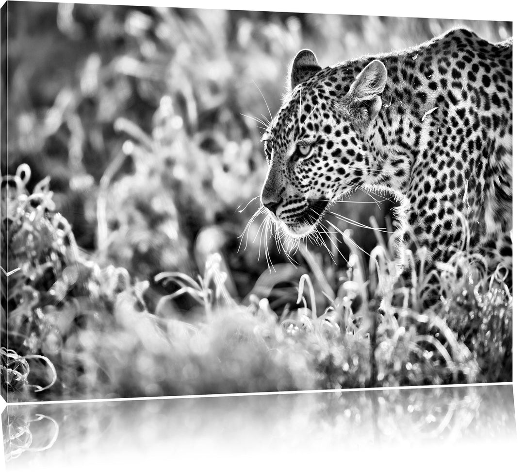 Pixxprint Jagender Leopard / 100x70cm Leinwandbild bespannt auf Holzrahmen/Wandbild Kunstdruck Dekor