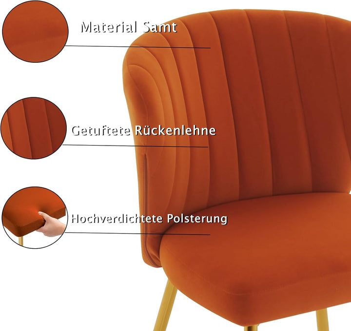 Sepnine® Esszimmerstühle Samt 4er Set, Moderner Küchenstuhl, Polsterstuhl Esszimmer, Ergonomischer E