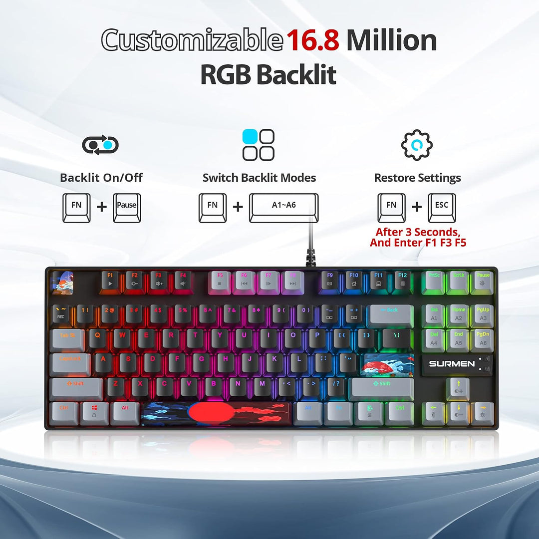SOLIDEE Tragbare 80% mechanische Gaming-Tastatur,87 Tasten kompakte RGB LED-Hintergrundbeleuchtung,k