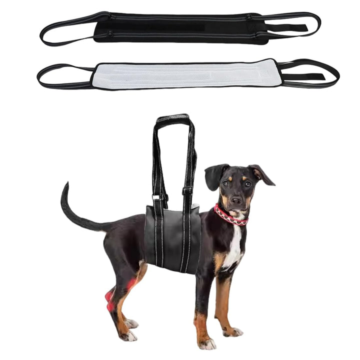 1 Stück Geeignet für Kleine Hunde Hunde Tragehilfe,Für die Unterstützung Von Behinderte Hunde und Äl