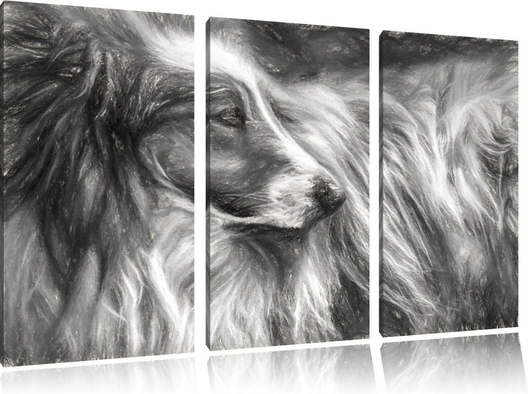 schöner Collie im Seitenprofil NewArt 3-Teiler Leinwandbild 120x80 Bild auf Leinwand, XXL riesige Bi