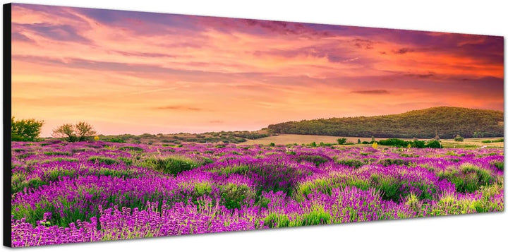 Paul Sinus Art Panoramabild auf Leinwand und Keilrahmen 150x50cm Lavendelfeld Sommer Sonnenuntergang