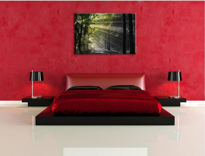 Pixxprint Waldweg im Frühling als Leinwandbild/Grösse: 100x70 cm/Wandbild/Kunstdruck/fertig bespannt