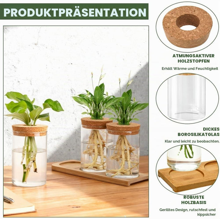 3Stk Pflanzenterrarium Hydrokultur Vermehrungsstation Pflanzen Anzuchtstation Ableger Pflanzen Glas