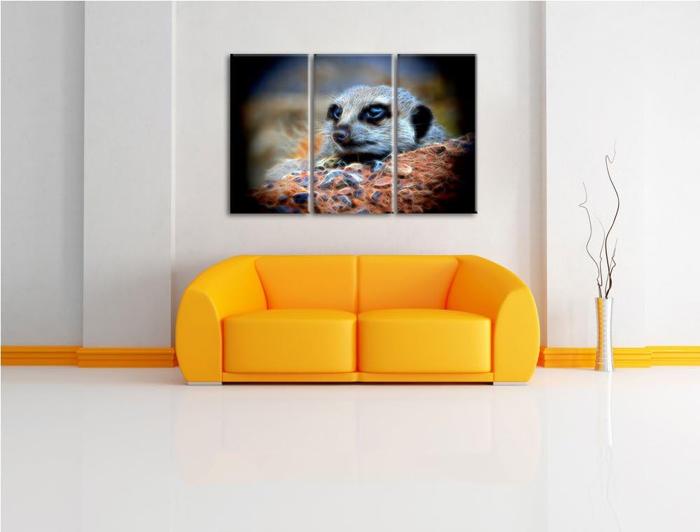 Dark ausgewachsenes Erdmännchen auf Steinboden NewArt 3-Teiler Leinwandbild 120x80 Bild auf Leinwand
