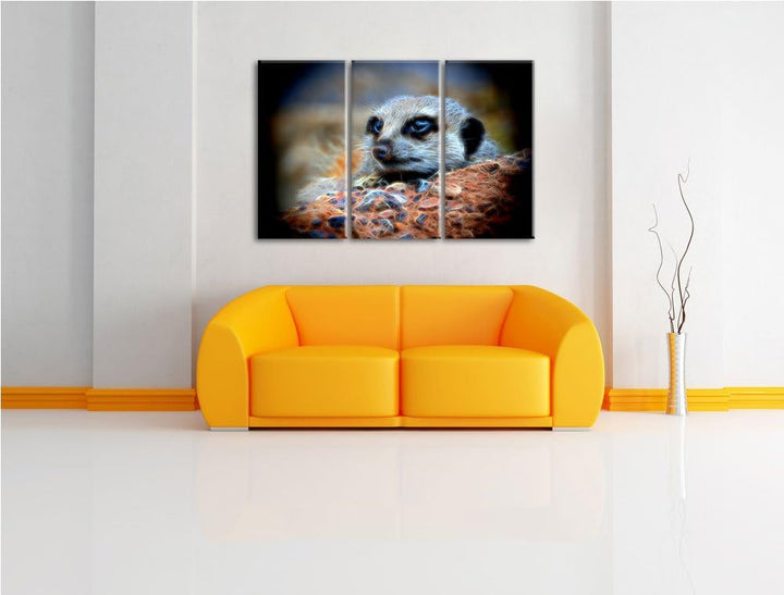 Dark ausgewachsenes Erdmännchen auf Steinboden NewArt 3-Teiler Leinwandbild 120x80 Bild auf Leinwand