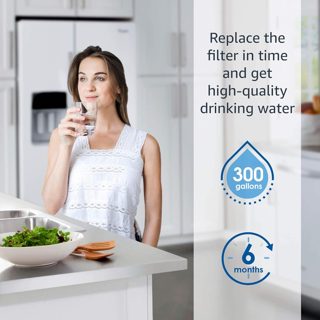 Waterdrop 847200 Kühschrank Wasserfilter Ersatz für Fisher & Paykel 847200; RS9120W Activesmart Inte