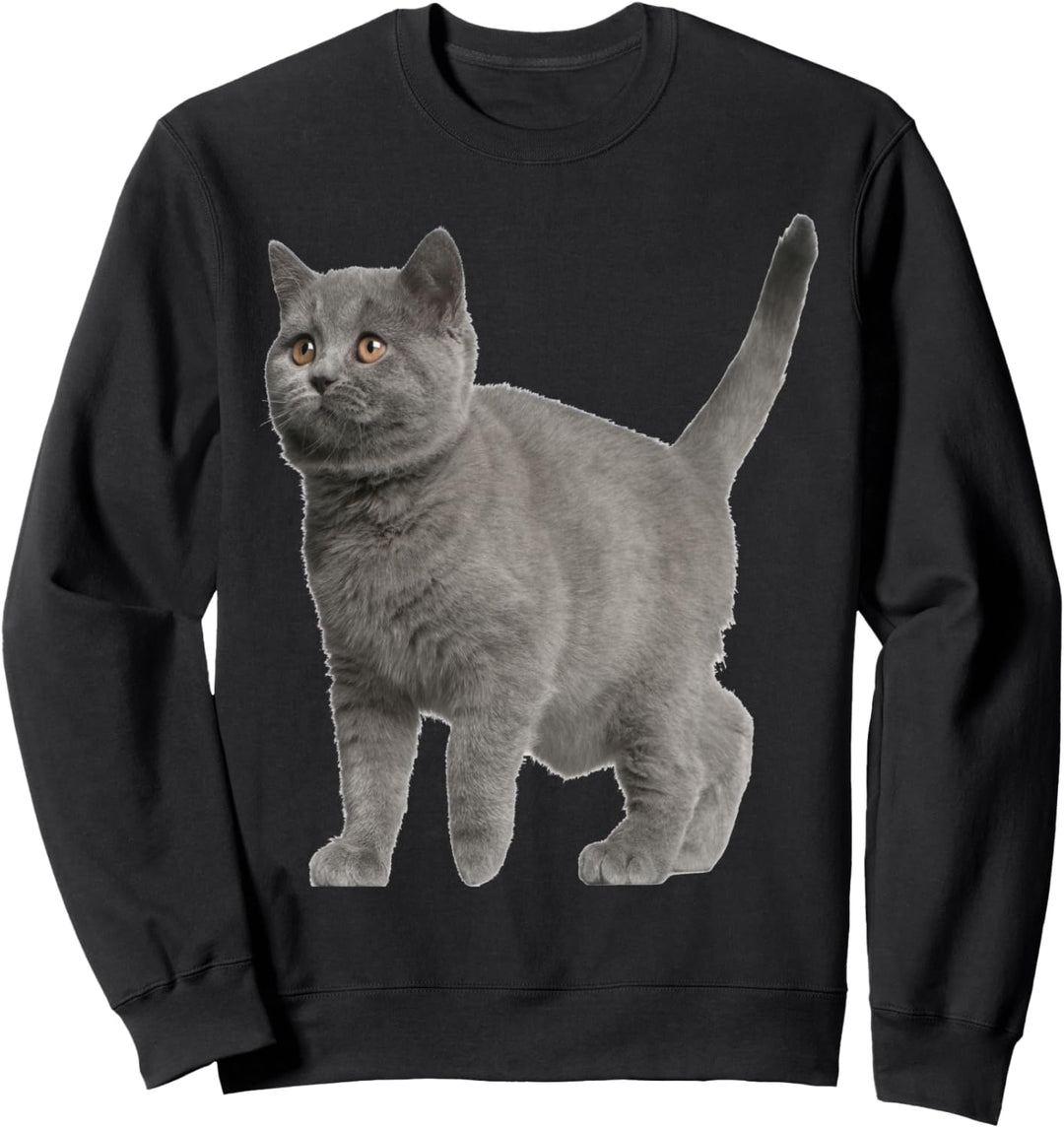 Britisch Kurzhaar Katze Sweatshirt