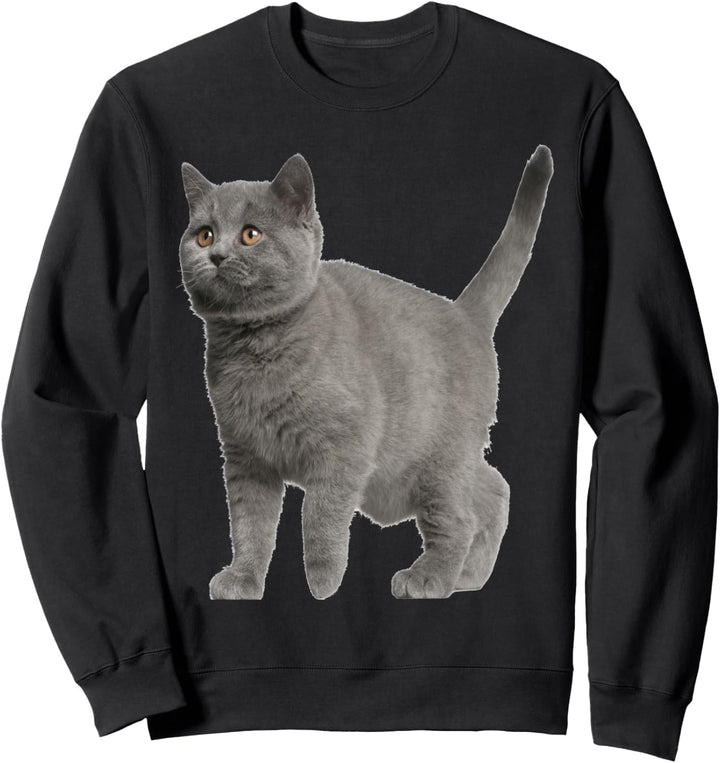 Britisch Kurzhaar Katze Sweatshirt