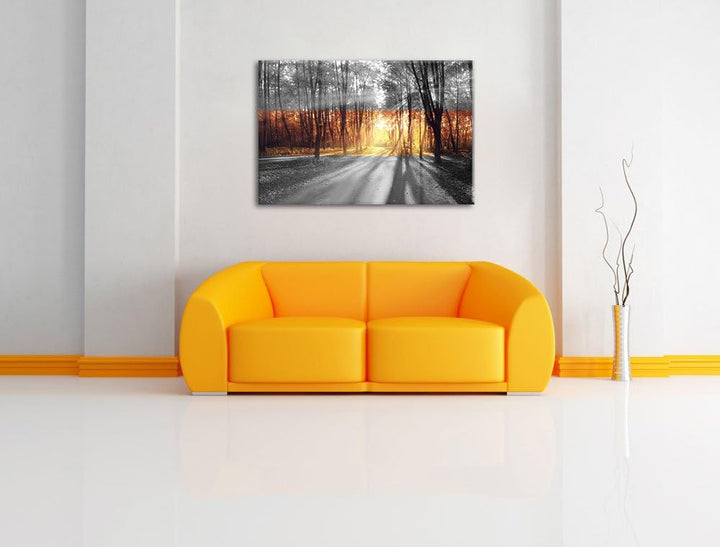 Allee im Herbstlicht schwarz/weiss Format: 100x70 auf Leinwand, XXL riesige Bilder fertig gerahmt mi