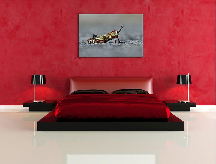Pixxprint aussergewöhnliche Heuschrecke auf Leinwand, XXL riesige Bilder fertig gerahmt mit Keilrahm