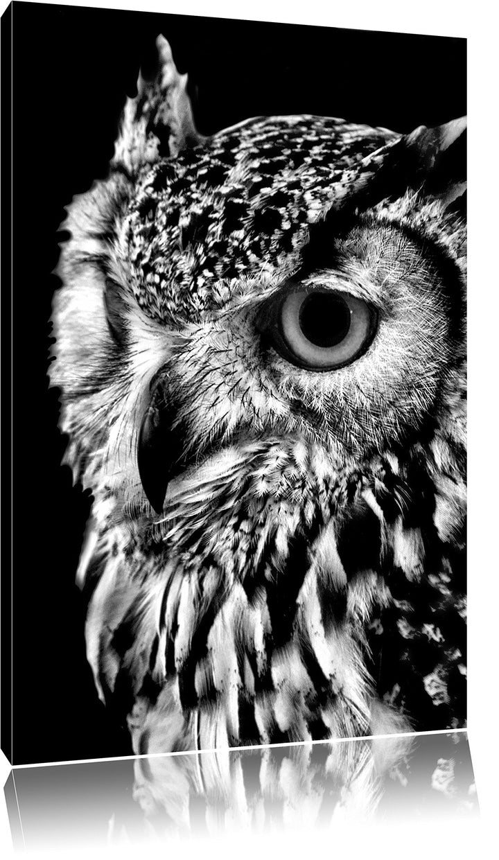 Pixxprint Dark Eule mit orangen Augen als Leinwandbild/Grösse: 100x70 cm/Wandbild/Kunstdruck/fertig