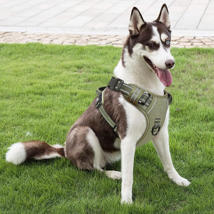 HEELE Hundegeschirr, Hundegeschirr für Grosse Hunde, Freigabe am Hals, Vorderseite Rückseite Clips H