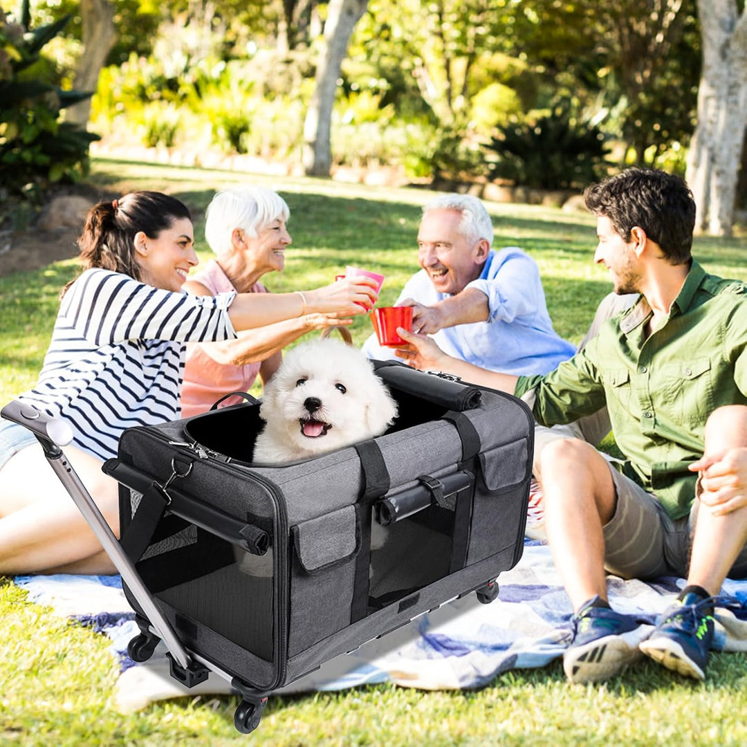 PETCUTE Transporttasche für Katze mit Rollen,Atmungsaktiv Katzen Transporttasche für 2 Katzen,Faltba