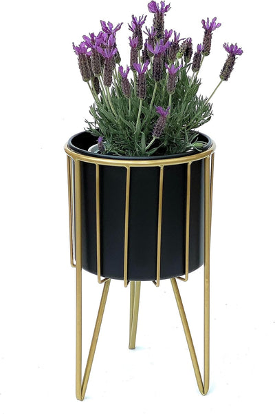 DanDiBo Blumenhocker mit Topf Metall Gold Schwarz Rund M 40 cm Blumenständer 96039 Blumensäule Moder