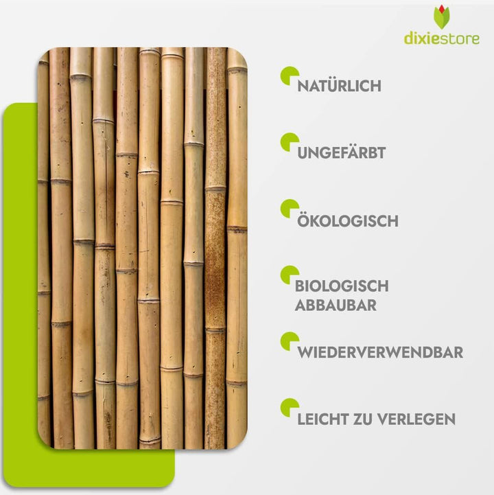 Dixiestore Bambusstäbe Set - Robuste Pflanzenstützen 150 cm x 24-26 mm - 10 Stück Holzstäbchen Rund