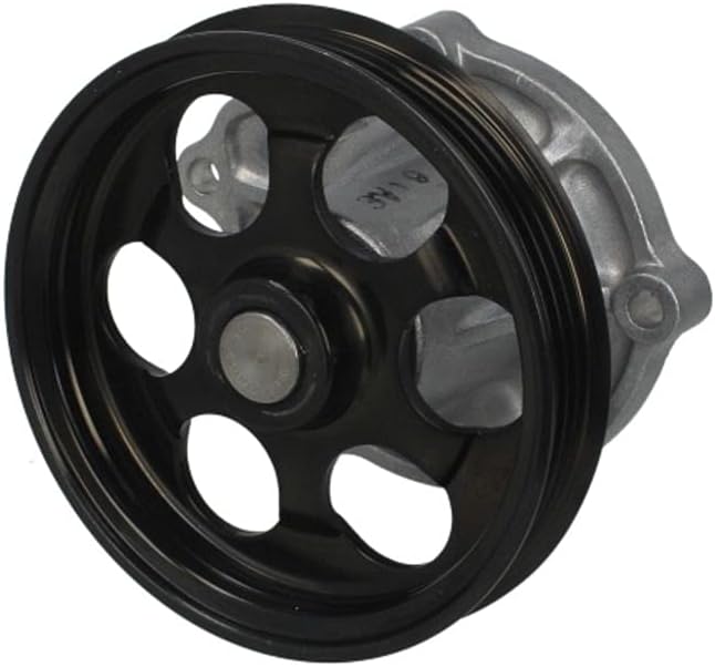 Aisin WPT-107 Kühlung