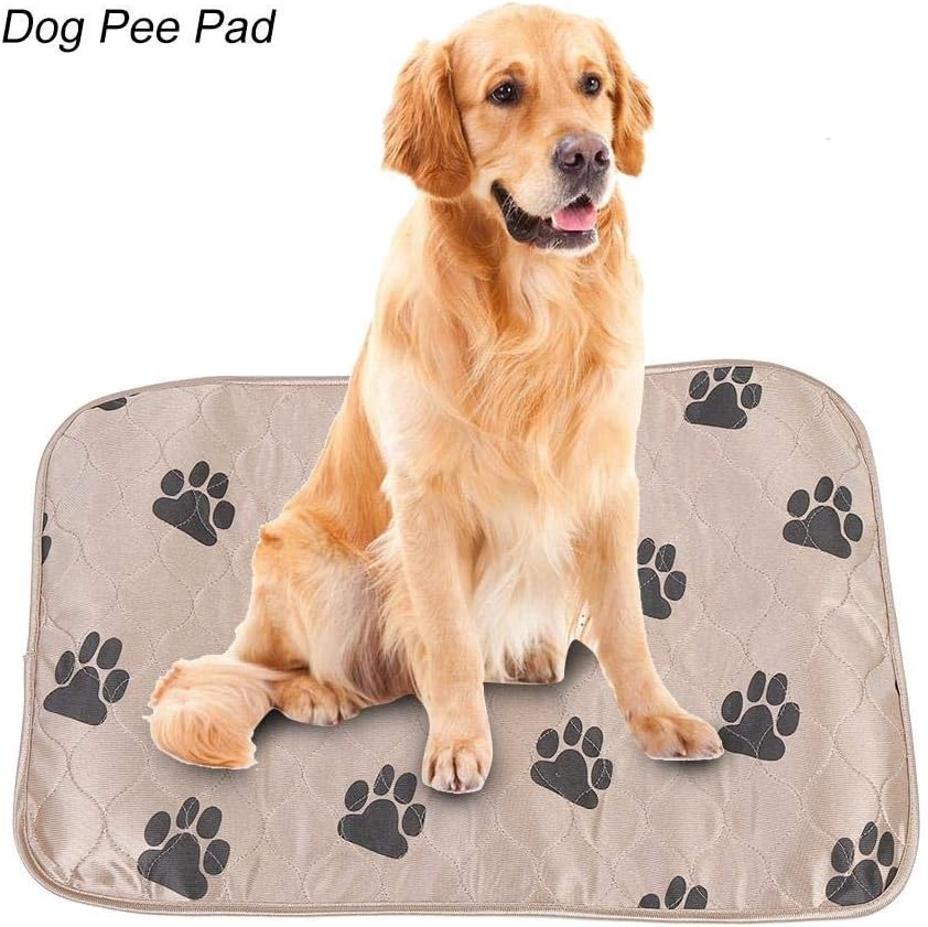 Pee Matte Pads Hunde Welpen Inkontinenz-Unterlage Waschbar bis 60° Saugfähig Wiederverwendbar Wasser