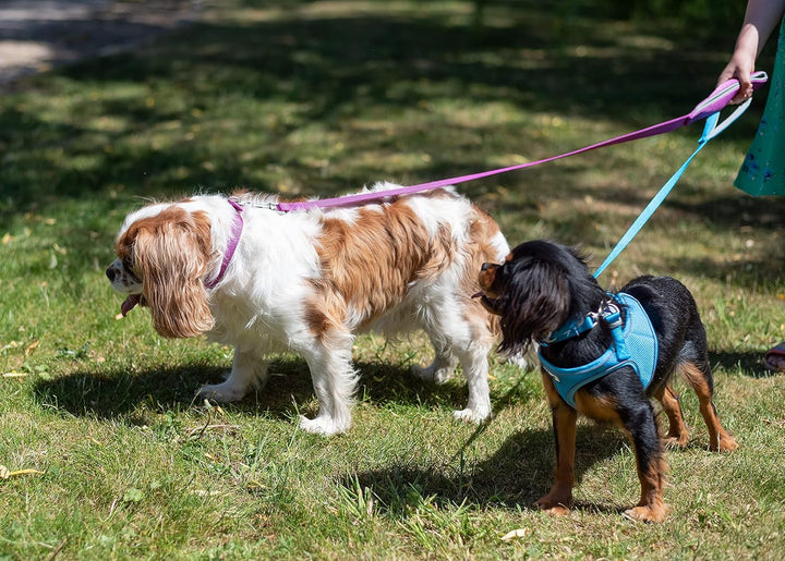 Ancol Viva Step-in-Hundegeschirr, atmungsaktiv, reflektierendes Band, wetterfest, Haustierzubehör, K