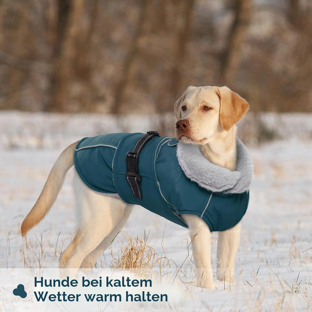 Hundemantel XXXL, Hundejacke Winter Hunde Wintermantel Wasserdicht Hundeweste Winter Warmer Hundepul