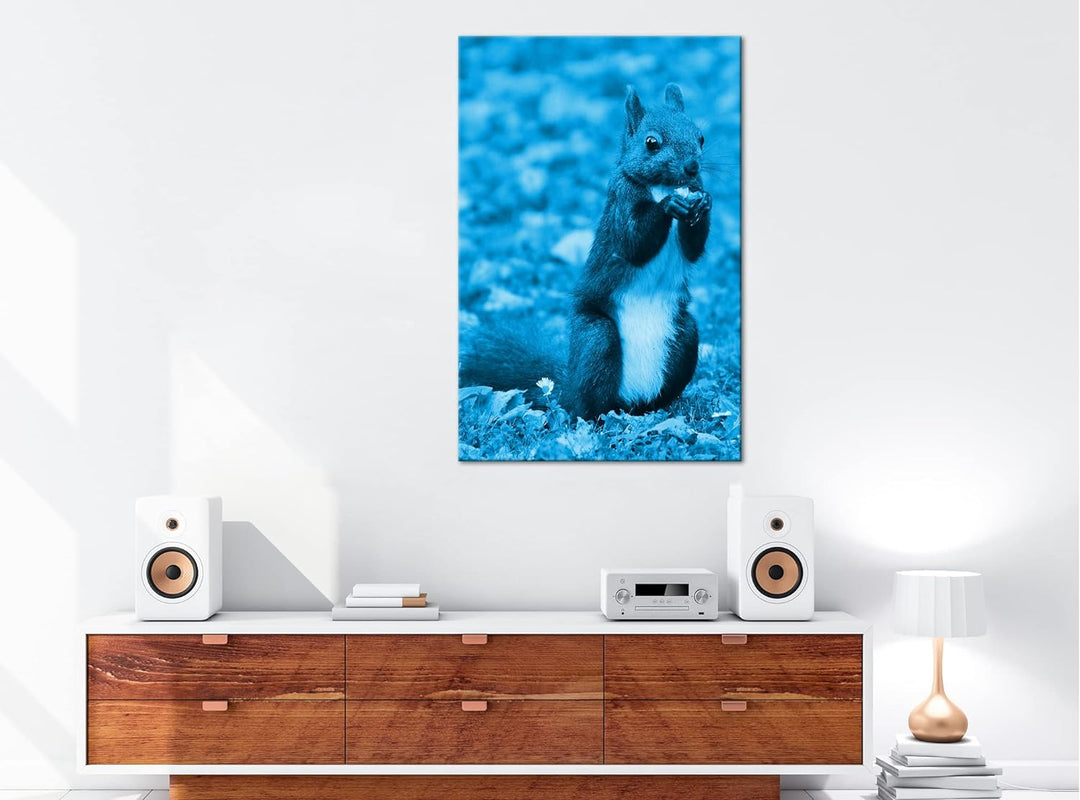 deyoli Zucker süsses Eichhörnchen beim essen Format 80x60 Effekt: Monocrome Blau als Leinwandbild, M