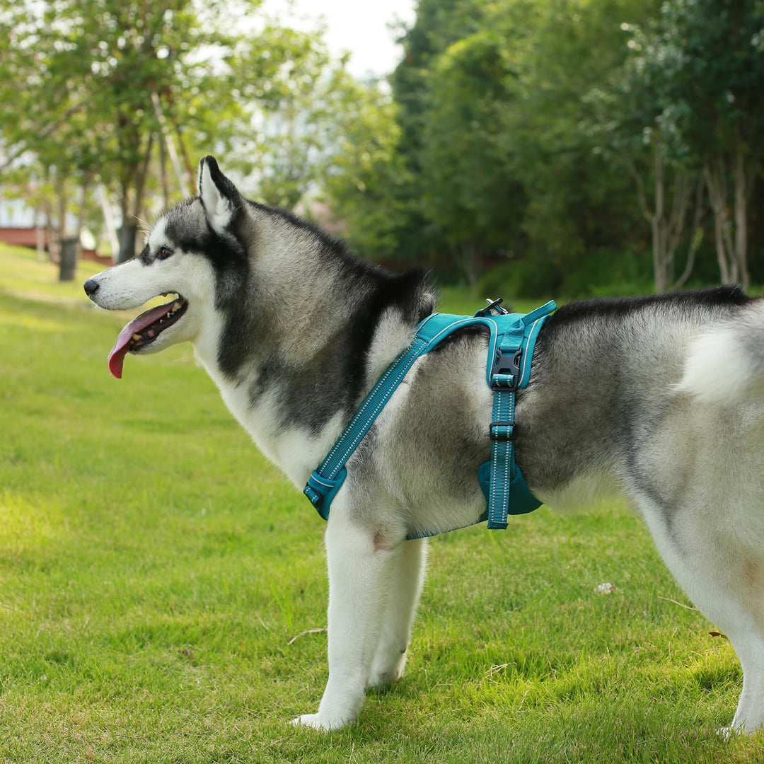 Voyager Von Best Pet Supplies – verstellbares Hundegeschirr mit 3M reflektierender Technologie, kein