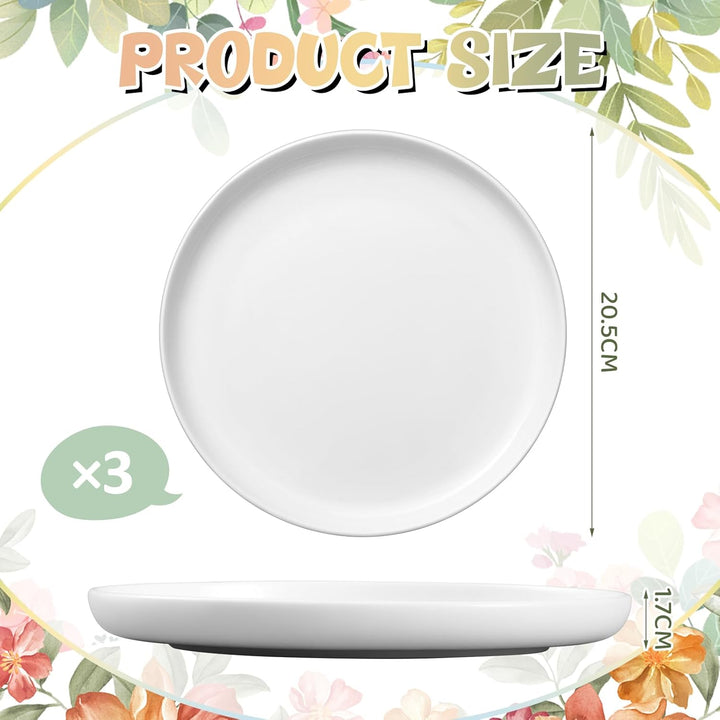 Sinmoe DIY Keramik Bemalen Set 3 Keramikplatte Weiss Servierplatte Salatteller 12 Porzellanstifte Sp