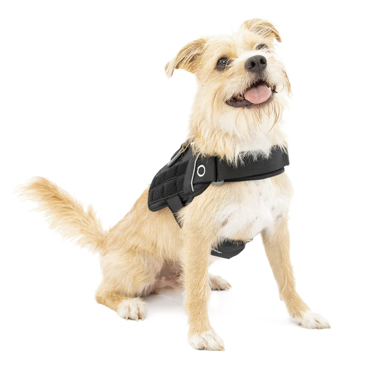 Kurgo RSG Townie Hundegeschirr, Einfaches Anlegen und Abnehmen, Einstellbare Brust- und Bauchgurte,