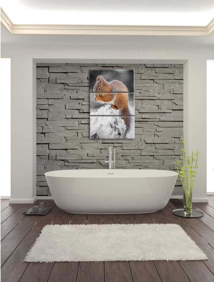 Pixxprint Kleines Eichhörnchen im Winter Schwarz/Weiss 3-Teiler Leinwandbild 120x80 Bild auf Leinwan