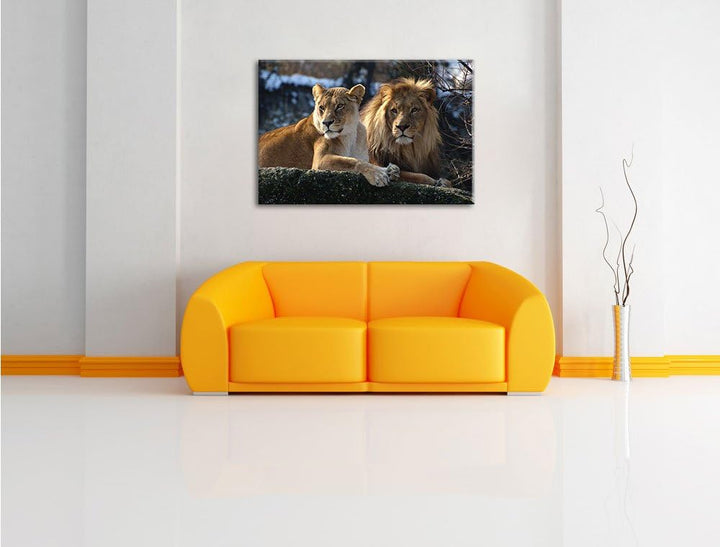 interessiertes Löwenpaar, Format: 100x70 auf Leinwand, XXL riesige Bilder fertig gerahmt mit Keilrah