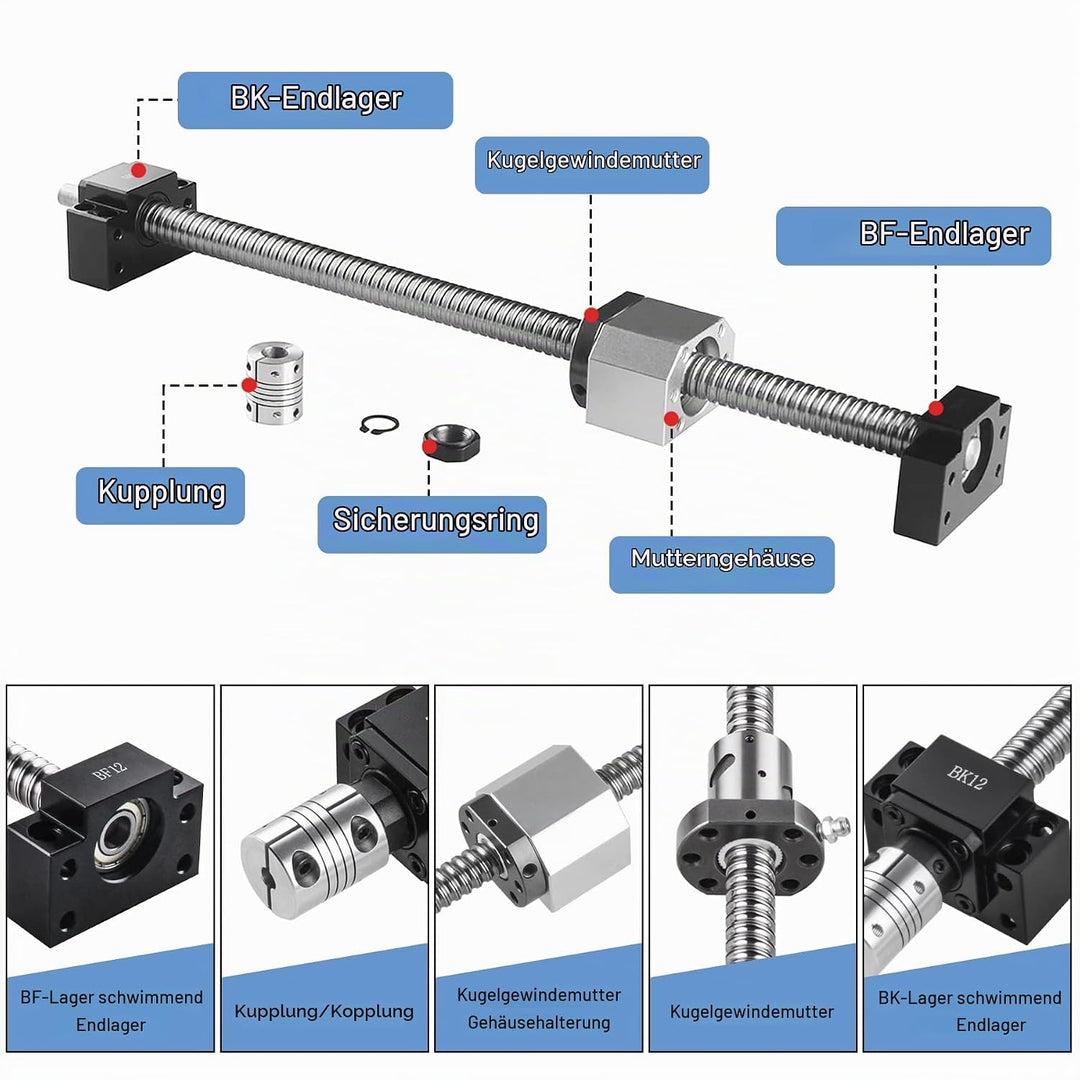CNCMANS Kugelumlaufspindel SFU1605 600mm Edelstahl Gerollte ballscrew mit BK12 / BF12 Endunterstützu