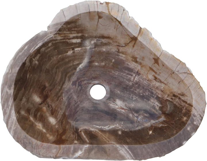 GURU SHOP Massives Fossiles Holz Aufsatz-Waschbecken, Waschschale, Naturstein Handwaschbecken - Mode