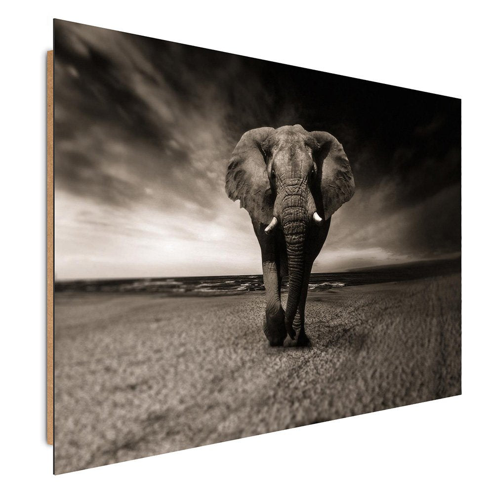 Feeby. Wandbilder - 1 Teilig- 60x90 cm - Bilder Kunstdrucke Deko Panel, ELEFANT, NATUR, SCHWARZ UND