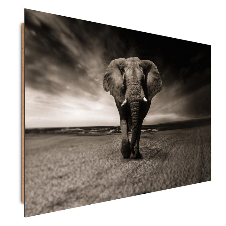 Feeby. Wandbilder - 1 Teilig- 60x90 cm - Bilder Kunstdrucke Deko Panel, ELEFANT, NATUR, SCHWARZ UND