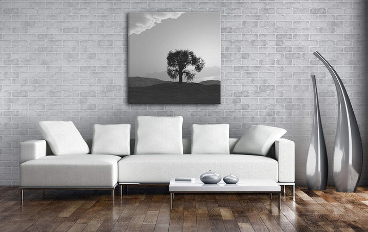 einsamer Baum in der Weite Format: 60x60 Effekt: Schwarz&Weiss als Leinwandbild, Motiv fertig gerahm