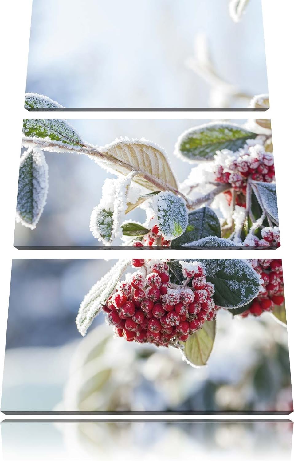 Pixxprint Vogelbeeren im Winter 3-Teiler Leinwandbild 120x80 Bild auf Leinwand